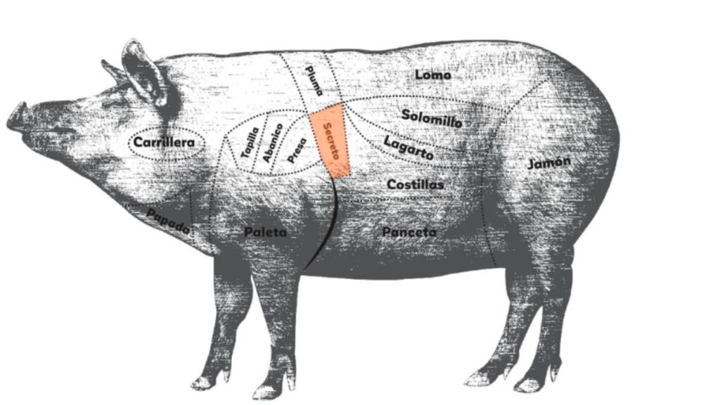 Cómo cocinar secreto de cerdo | Carrasco Ibéricos